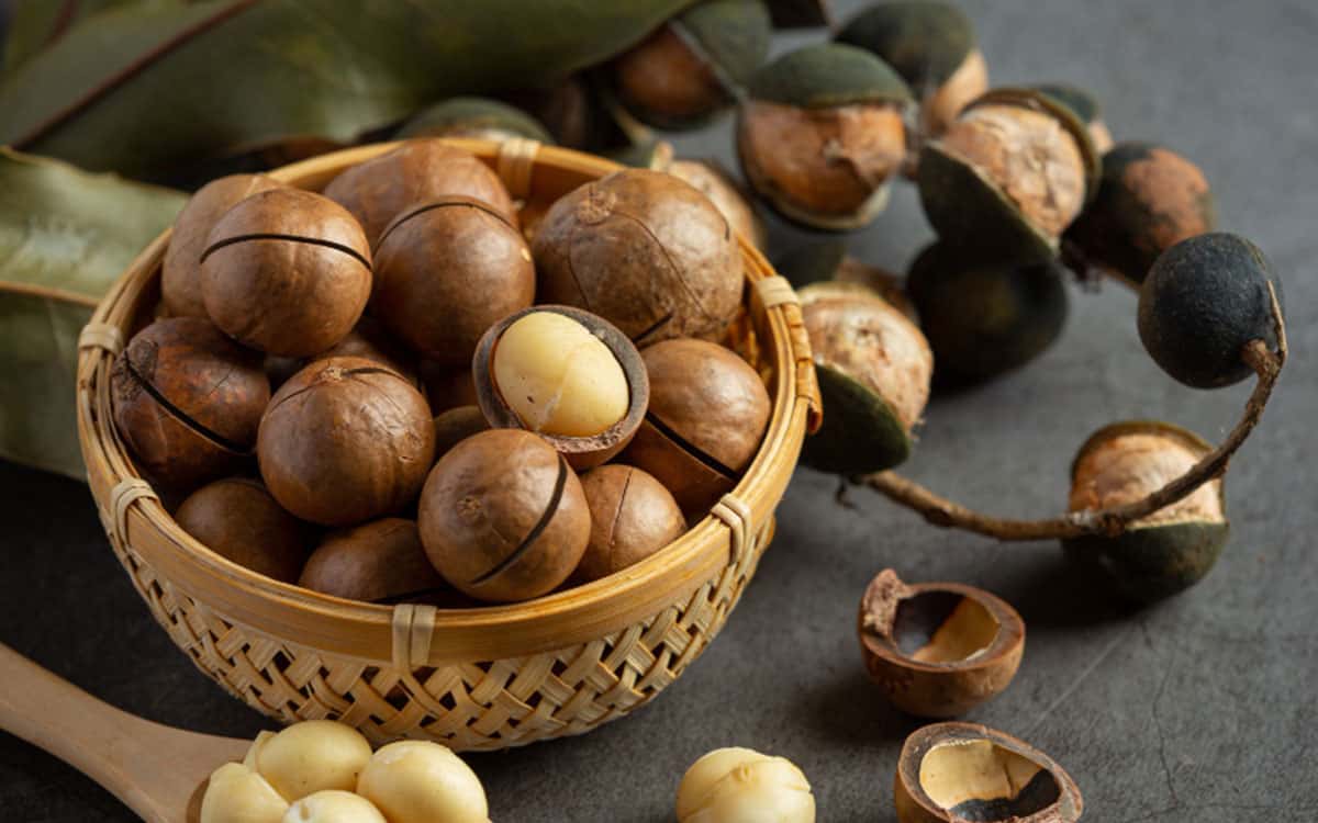 Manfaat Kacang Macadamia Untuk Rambut