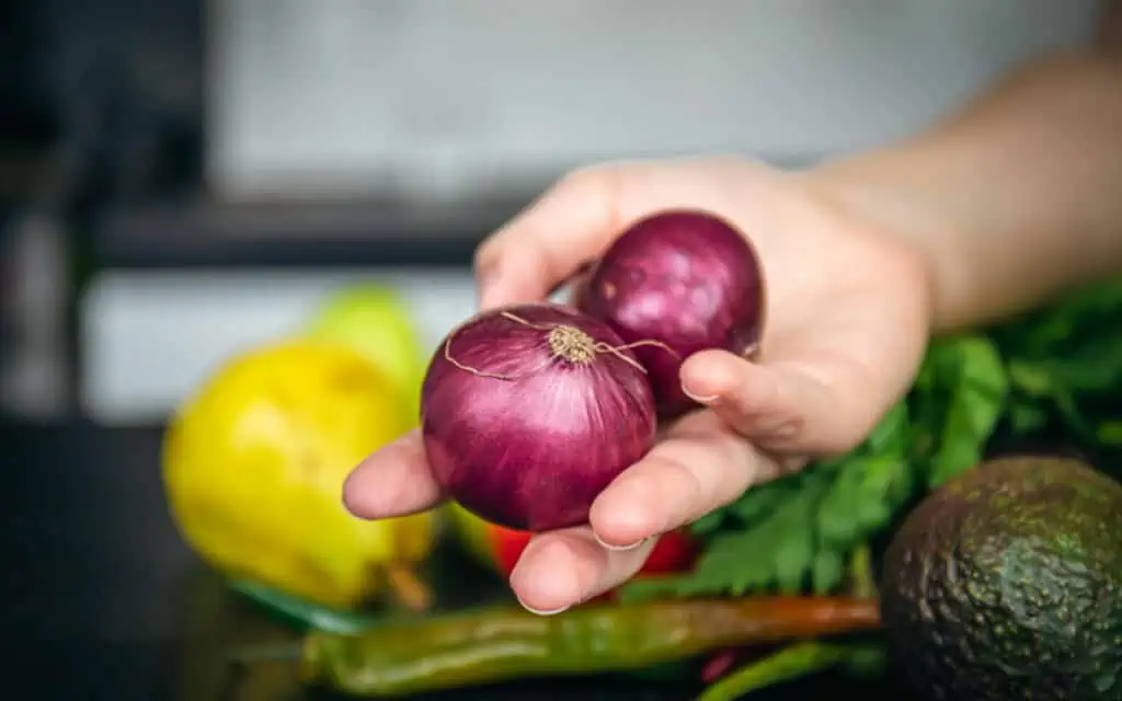 manfaat bawang merah untuk rambut dan cara menggunakannya