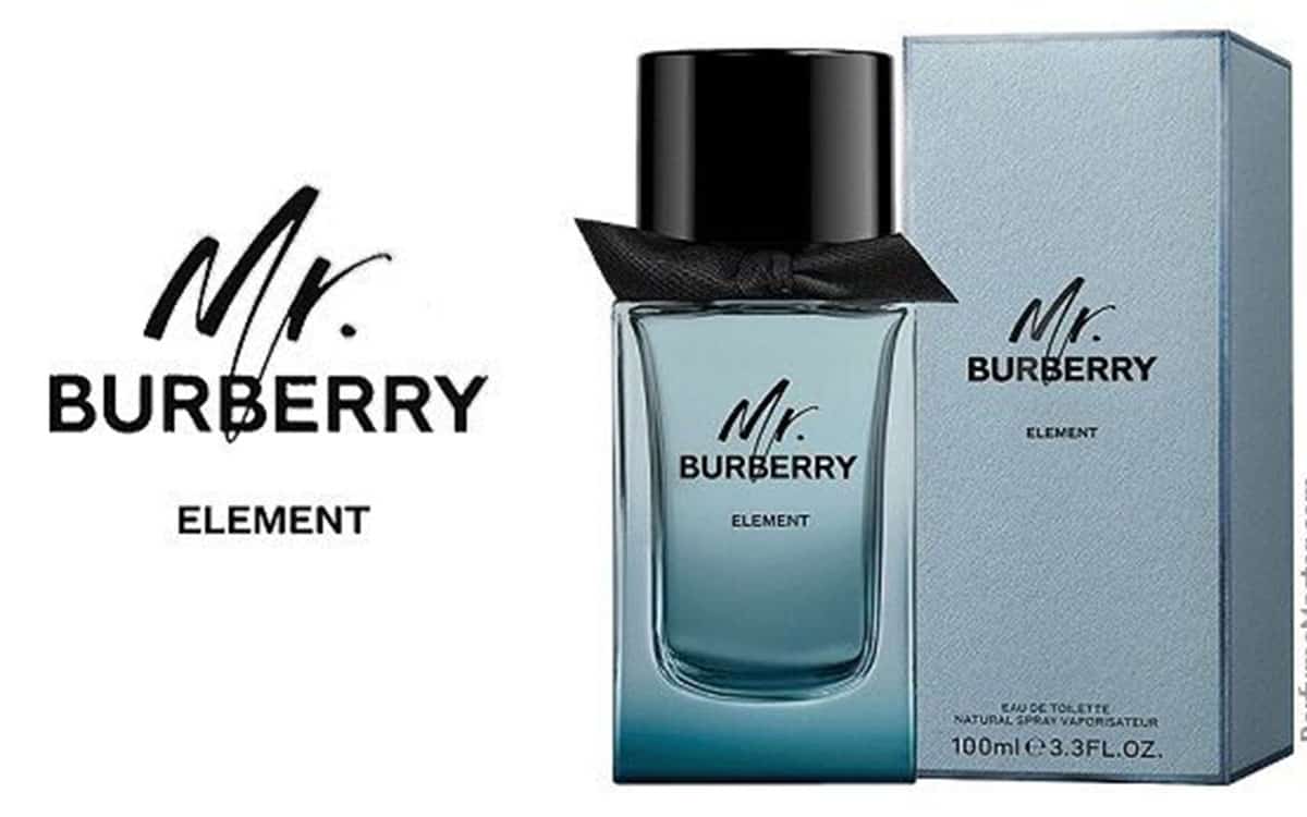 Jenis Parfum Ambergris Burberry 